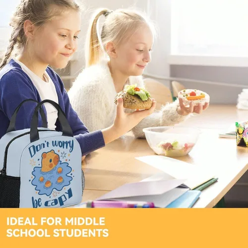 Miniatura 8 de Lonchera para niñas y niños, reutilizable, plegable, aislada, con asa, pequeña, azul, con estampado de animales, ideal para la escuela, picnic