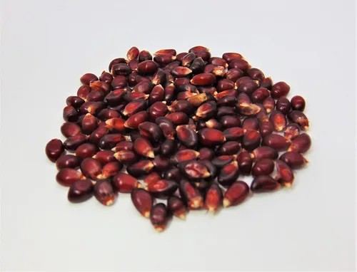 Miniatura 2 de Semilla de palomitas de maíz rojas de 4 onzas, granos de maíz sin reventar, palomitas de maíz grandes de mariposa, producto versátil, hace que sea
