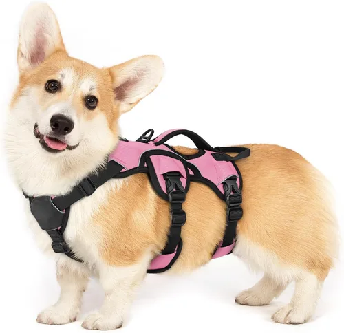 Miniatura 20 de rabbitgoo - Arnés para perro a prueba de fugas, arnés para mascotas acolchado suave de cuerpo completo, chaleco reflectante ajustable sin tirones