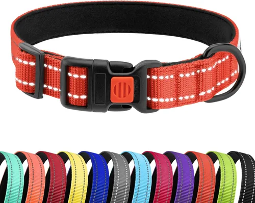 Miniatura 38 de CollarDirect Collar reflectante para perro o cachorro pequeño, mediano y grande con hebilla de liberación rápida, para machos y hembras, nailon Rojo
