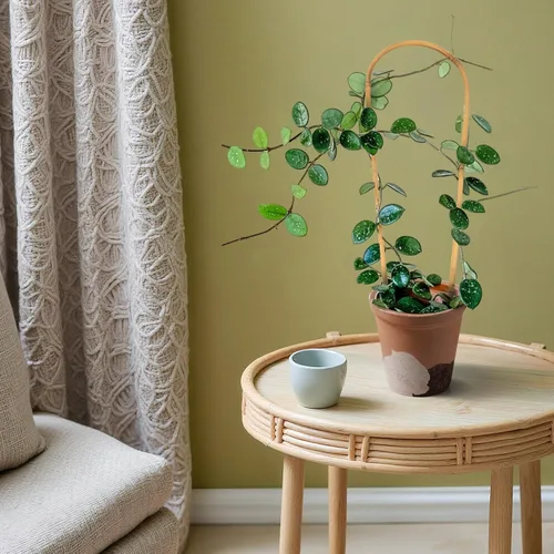 Miniatura 5 de Cambaverd Enrejado de plantas de interior para plantas trepadoras de 16 pulgadas, paquete de 6 enrejados de bambú para plantas en maceta