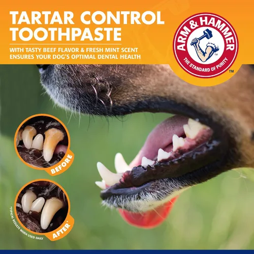 Miniatura 4 de Pasta dental para perros, sabor carne de res Arm & Hammer Advanced Care Enzymatic