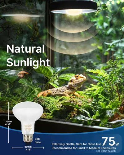 Miniatura 2 de FLSNT Paquete de 2 bombillas de lámpara de calor para reptiles, 75 W para anfibios, dragón barbudo, lagarto, tortuga, gecko