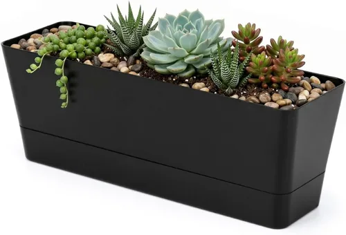 GREANER Maceteros de hierbas de 12 x 3.8 pulgadas, 1 paquete de cajas rectangulares con bandeja, maceta de plástico para suculentas de interior y