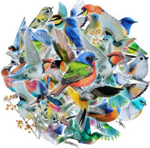 Imeepa Calcomanías transparentes, 40 calcomanías de pájaros, calcomanías decorativas de pájaros vintage para álbumes de recortes, manualidades,