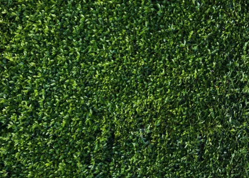 Miniatura 7 de HQM - Fondo de foto 3D de hojas verdes temáticas de primavera para naturaleza, boda, cumpleaños, recién nacido, baby shower, fotografía