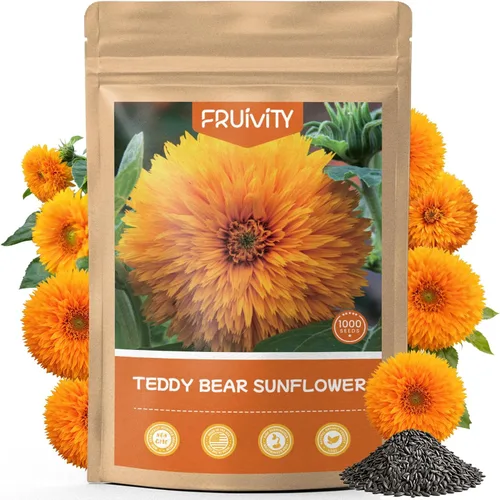 Más de 1000 semillas de girasol para plantar, semillas de flores para plantar, variedad enana, jardines y bordes, fáciles de cultivar con alta tasa
