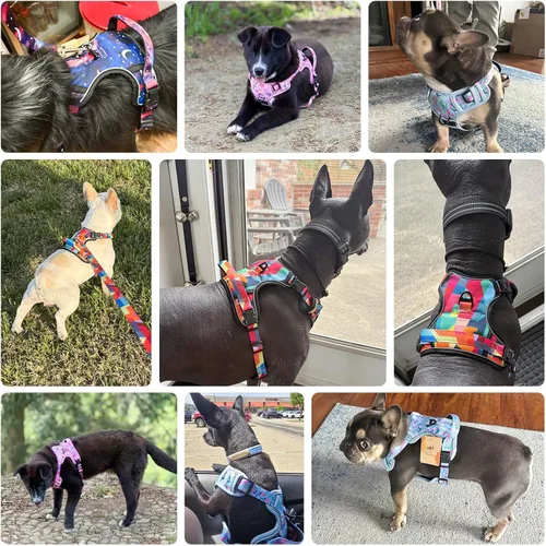 Miniatura 2 de BEAUTYZOO Arnés para perro sin tirones pequeño, juego de arnés y correa ajustable para perro - Fácil de usar con 3 hebillas/mango de control, arnés
