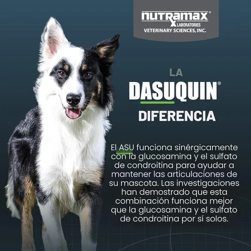 Miniatura 6 de Nutramax Dasuquin para perros pequeños a medianos, suplemento de salud articular, contiene glucosamina para perros, además de condroitina, ASU