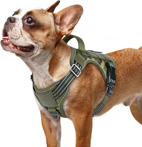Miniatura 30 de rabbitgoo - Arnés para perros pequeño sin tirones, chaleco táctico de servicio con Molle y asa de control, arnés militar ajustable y reflectante