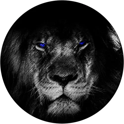 Miniatura 3 de Lion Pop - Enchufe para hombre y mujer, color blanco y negro