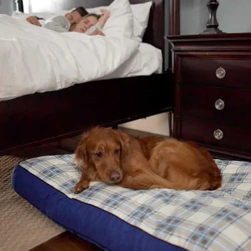 Miniatura 3 de MyPillow Cama para perro de diseño reversible con funda de cremallera extraíble, cama lavable para perros grandes, soporte para articulaciones, Azul