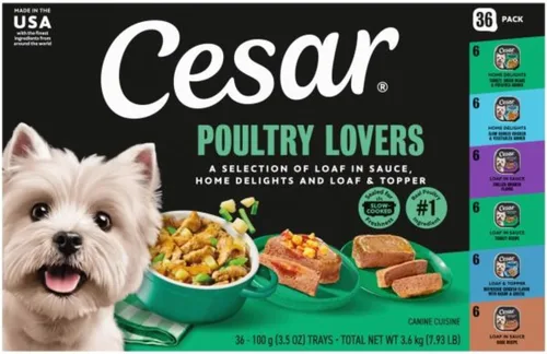 Miniatura 24 de Cesar - Comida húmeda para perros amantes de los filetes, para adultos, comida húmeda para perros con carne real, bandejas de 3.5 onzas fáciles