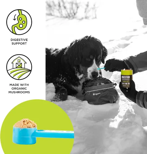 Miniatura 3 de Suplemento para perros y gatos BIXBI Organic Pet Superfood