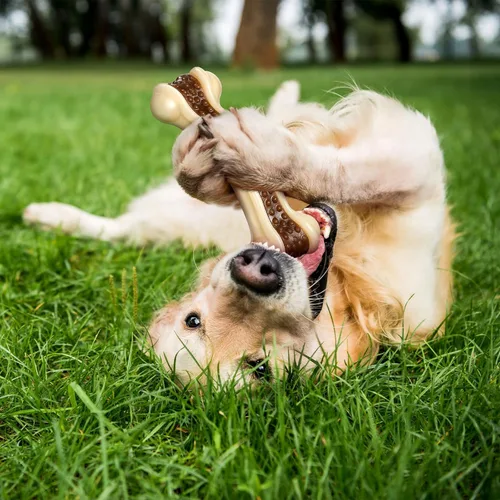 Miniatura 6 de Sosation Juguetes para perros con forma de huesos para masticadores agresivos, paquete de 2 juguetes para masticar para cachorros, de nailon, sabor