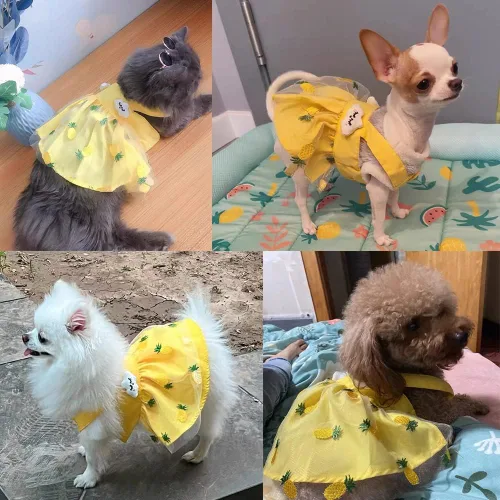 Miniatura 5 de Anelekor - Vestidos de princesa para cachorros, ropa para perro, ropa de verano para perritos, preciosa falda de encaje sin mangas de piña