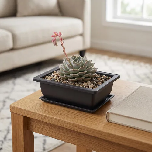 Miniatura 7 de KINJOEK 15 macetas de entrenamiento de bonsái de plástico de 6.5 pulgadas con bandejas de drenaje, maceta rectangular para árbol de bonsái, maceta