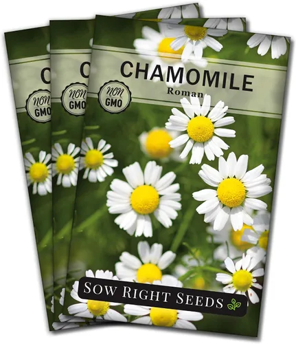 Miniatura 8 de Sow Right Seeds - Semillas de manzanilla romana para plantar - Paquete de reliquia sin OMG con instrucciones para cultivar un jardín de té