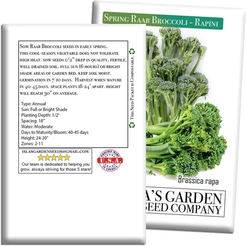Miniatura 7 de Semillas de brócoli Raab Rapini de primavera, 300 semillas por paquete, semillas sin OMG, nombre botánico: Brassica oleracea, Isla's Garden Seeds