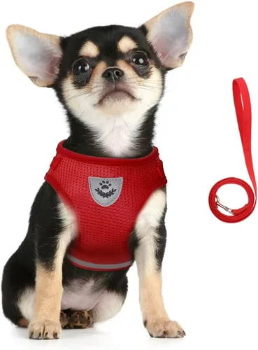 Miniatura 20 de FEimaX Juego de arnés y correa para perro, malla suave ajustable, de fácil control, chaleco ligero para gatos con tiras reflectantes, a prueba