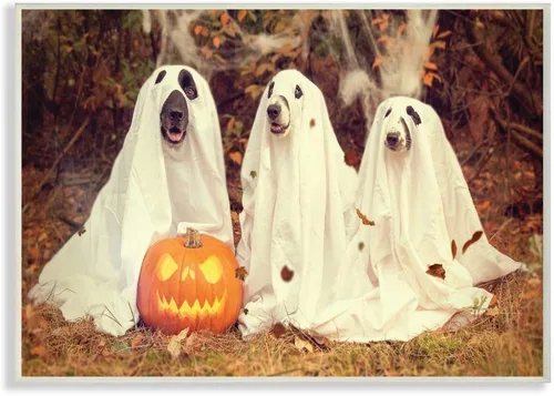 Stupell Industries Placa de pared vintage con diseño de calabaza y perros fantasmas, 13 x 19 pulgadas, diseño de la artista Daphne Polselli |