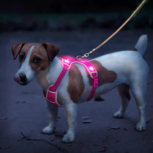 Miniatura 5 de Arnés para perro que brilla en la oscuridad recargable por USB (rosa, L)