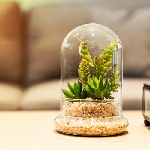 Miniatura 2 de 2 cúpula de cristal Cloche con orificio de aire y base, terrario de vidrio transparente, cúpula de humedad para plantas pequeñas, decoración de mesa