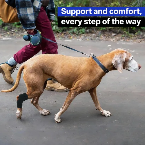 Miniatura 6 de Rodillera para perro para soporte de pierna trasera, soporte ajustable de compresión para piernas traseras débiles, desgarro de ACL y molestias