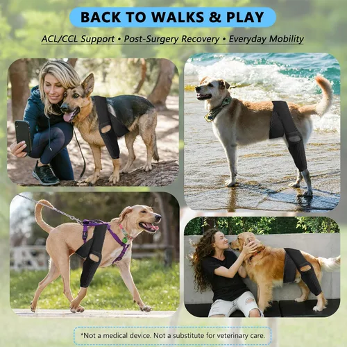 Miniatura 6 de Rodillera para perro para desgarro del ligamento cruzado anterior, soporte elástico, estabilizador de compresión ajustable, neopreno transpirable