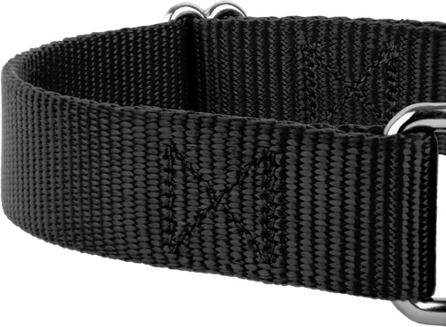 Miniatura 7 de Country Brook Design - Collar de perro de nailon Martingale y correa de doble asa-Negro-S