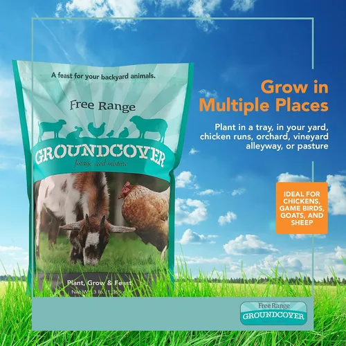 Miniatura 2 de Barenbrug Free Range GroundCover - Mezcla de semillas de forraje, ideal para pollos, aves de caza, cabras y ovejas, bolsa de 3 libras, color azul