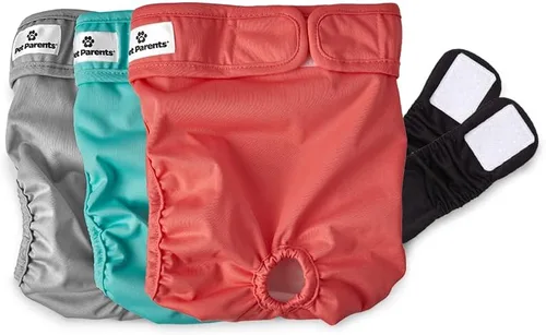 Pet Parents - Pañales lavables para perros (3 unidades), pañales duraderos y de alta calidad, para hembras, (grande, Southern Belle)