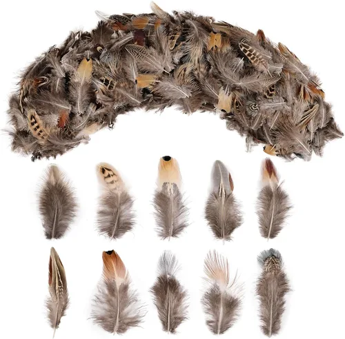 Miniatura 8 de 200 plumas naturales de 10 estilos surtidos de plumas para atrapasueños, manualidades, decoración de bricolaje