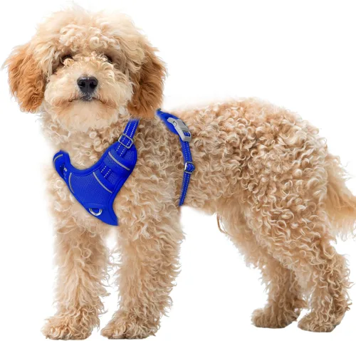 Miniatura 85 de BARKBAY Arnés para Perro Sin Tirones Talla Grande Arnés Reflectante para Perro con Clip Frontal y Asa de Control Fácil para Caminar Entrenar Correr