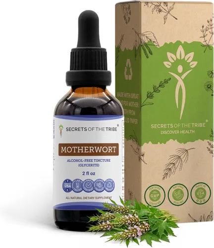 Secrets of the Tribe Tintura de Motherwort Extracto líquido sin alcohol, Motherwort (Leonurus Cardiaca) Hierba seca (2 onzas líquidas)