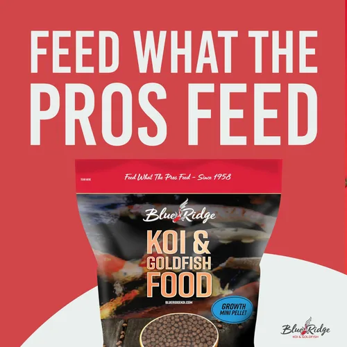 Miniatura 3 de Blue Ridge Comida para peces Koi 1.36kg - Fórmula Mini de Crecimiento, Comida para Carpas, Comida Premium para Peces de Estanque, Comida para Peces
