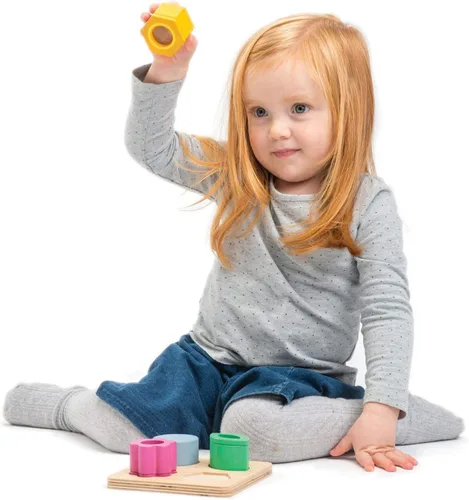 Miniatura 3 de Tender Leaf Toys - Bandejas sensoriales - Bloques de bebé, clasificador de formas, juguete de clasificación de identificación de formas STEM