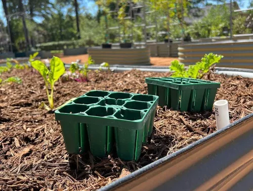Miniatura 7 de Vego garden Bandejas de plántulas estándar sin tapa, paquete de 8 para plántulas, bandeja de inicio de cultivo reutilizable, kit de bandejas