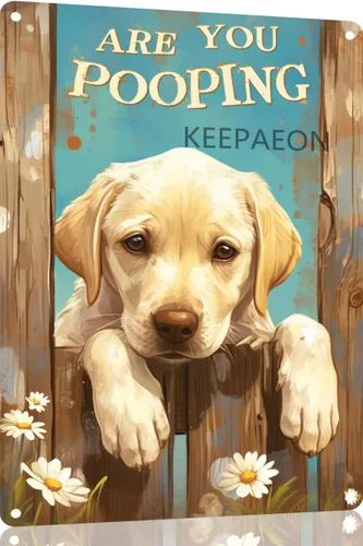 Pósteres de metal vintage con texto en inglés "Are You Pooping Labrador Retriever", diseño de margarita blanca, para decoración de pared del hogar,