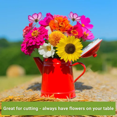 Miniatura 4 de Sow Right Seeds - Colección anual de jardín de semillas de flores para plantar - 5 paquetes que incluyen caléndula, zinnia, áster de China, girasol