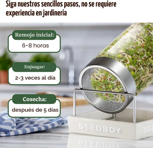Miniatura 4 de Seedboy Semillas orgánicas sin OMG, mezcla de ensalada fresca, mezcla de microverduras cultivadas en Estados Unidos con alfalfa, brócoli, rábano