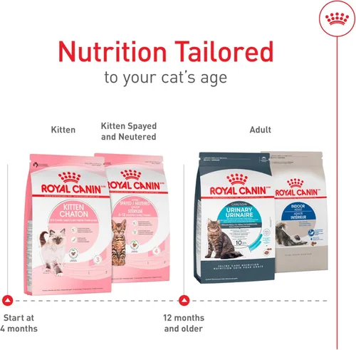 Miniatura 5 de Comida seca para gatitos de Royal Canin, Nutrición para la salud felina, Bolsa de 14 lb