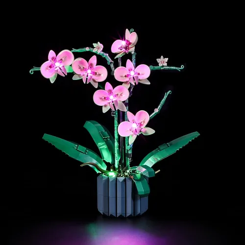 Miniatura 8 de LIGHTAILING Luz LED para modelo de bloques de construcción Bonsái Lego 10281 - No incluye el set