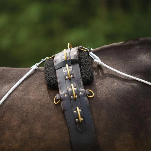 Miniatura 7 de Sistema de entrenamiento europeo avanzado Herramienta de entrenamiento avanzada Mejora el carro de caballos y los auriculares Fomenta