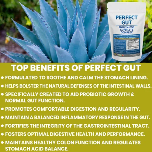 Miniatura 3 de Perfect Gut: Polvo de inulina FOS para la salud intestinal. Inulina prebiótica. Fibra de agave prebiótica única 95% FOS