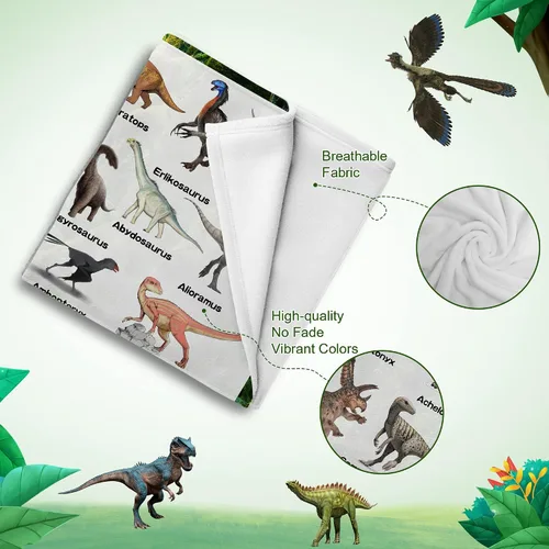 Miniatura 4 de Manta personalizada de dinosaurio para niños, mantas de regalo de dinosaurios jurásicos para niños, manta personalizada con nombre, manta