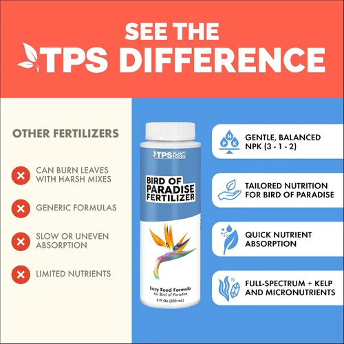 Miniatura 4 de Bird of Paradise Fertilizer - Alimento líquido para plantas para hojas tropicales más grandes, raíces más fuertes y crecimiento vertical saludable