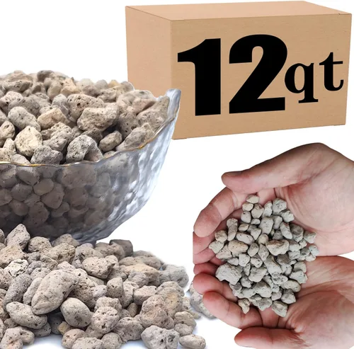 Miniatura 15 de Piedra pómez hortícola para plantas tamizada profesional (12 cuartos de galón, 1/2 pulgada)