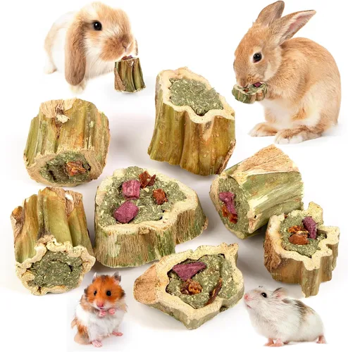 Abizoo Juguetes masticables de conejo para conejo, madera de papaya natural, golosinas masticables con heno de alfalfa orgánica, zanahoria seca,