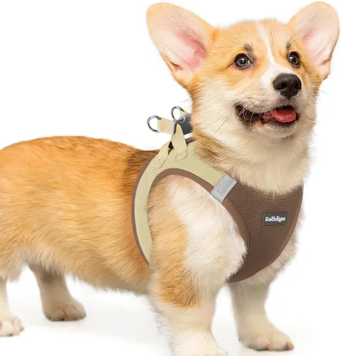Miniatura 89 de rabbitgoo Arnés para perro pequeño, chaleco de malla suave para cachorros con hebilla de seguridad, arnés reflectante transpirable para mascotas